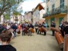 17e Festival - La Motte en Provence