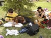 11e Festival Traditionnel au Pays du Galoubet