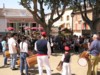 11e Festival Traditionnel au Pays du Galoubet