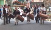 10e Festival Traditionnel au Pays du Galoubet