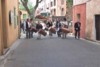 LE FESTIVAL EN EXTERIEUR