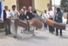 LE FESTIVAL EN EXTERIEUR